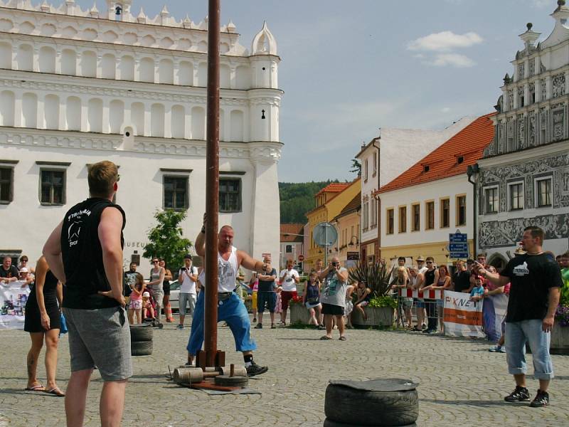 Strongman v Sušici 2015.