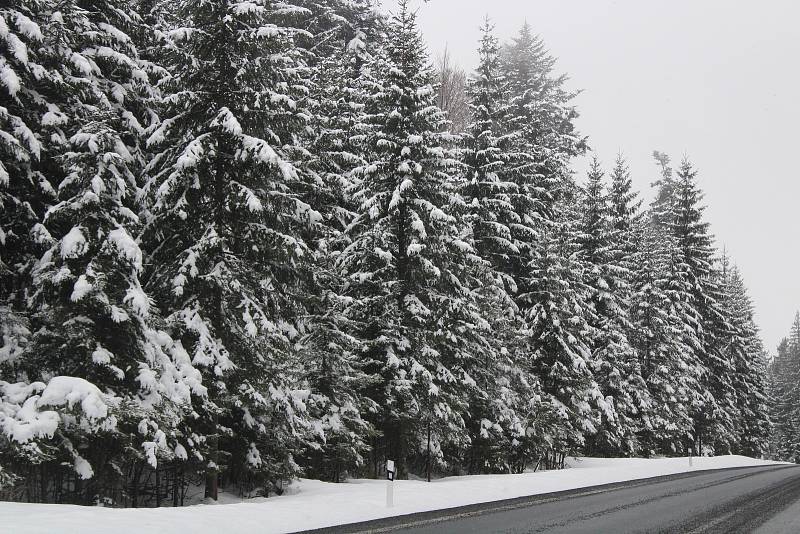 Šumava první víkend po rozvolnění a otevření okresů.