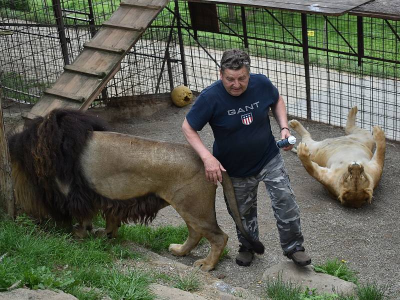 Chovatel šelem Miroslav Lenc se svými mazlíčky.