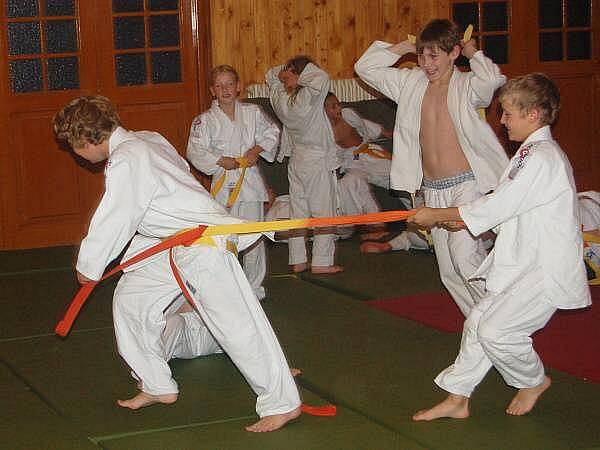 30. let judo v Sušici