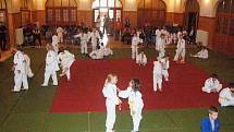 30. let judo v Sušici