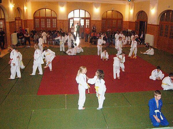 30. let judo v Sušici