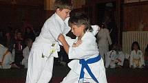 30. let judo v Sušici