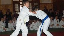 30. let judo v Sušici