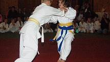 30. let judo v Sušici