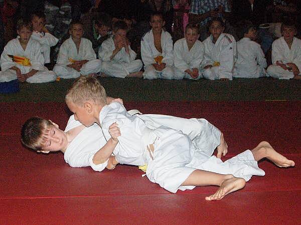 30. let judo v Sušici