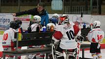 Minihokej 2. třídy 2016/2017: HC Klatovy (bílé dresy) - HC Domažlice 6:5