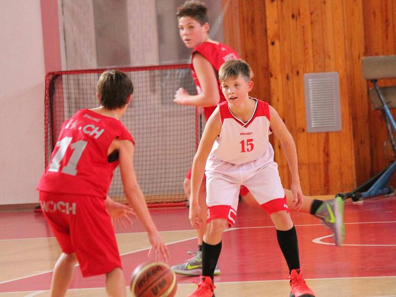 Liga mladších žáků U14: Klatovy (bílé dresy) - České Budějovice 142:28