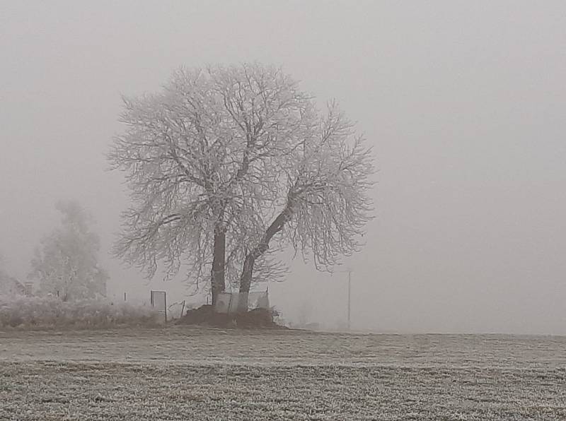 Mrazivé počasí na Klatovsku.