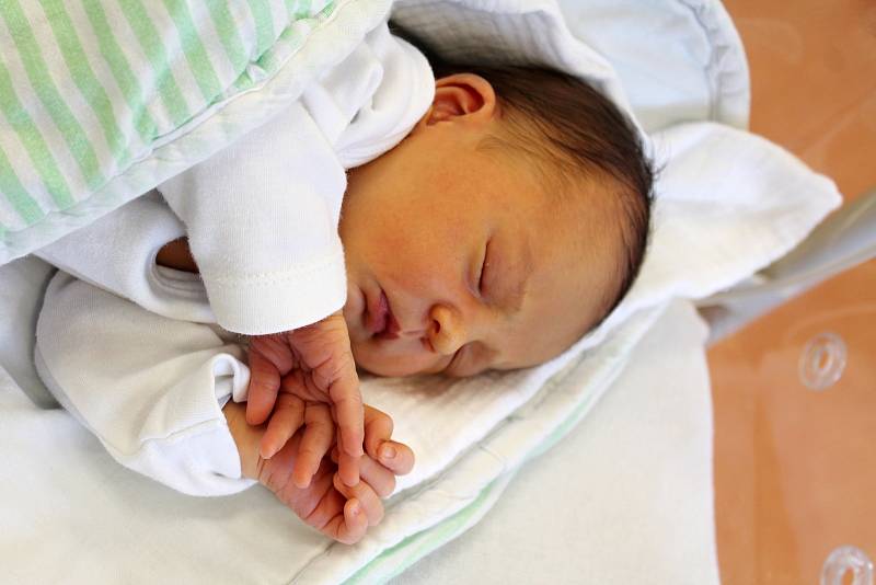 Melissa Valešová z Dolan se narodila v klatovské porodnici 25. července ve 13:06 hodin (3290 g, 50 cm). Rodiče Jaroslava a Martin dopředu věděli, že jejich prvorozeným miminkem bude holčička.