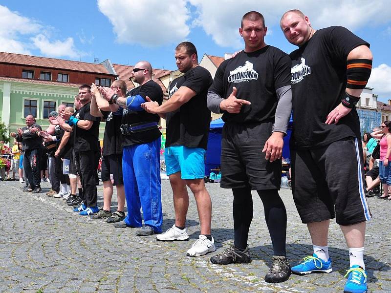 Strongman v Sušici 2014.