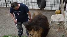 Chovatel šelem Miroslav Lenc se svými mazlíčky.