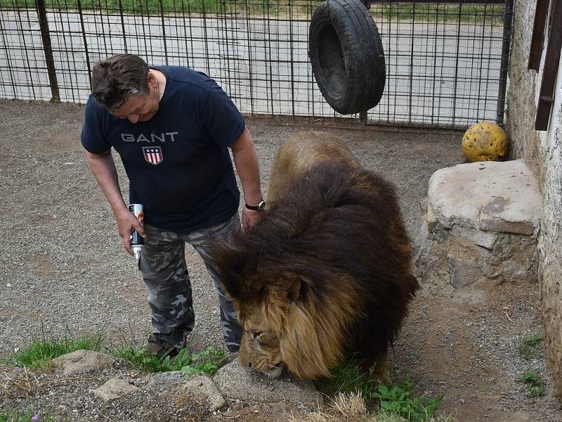 Chovatel šelem Miroslav Lenc se svými mazlíčky.