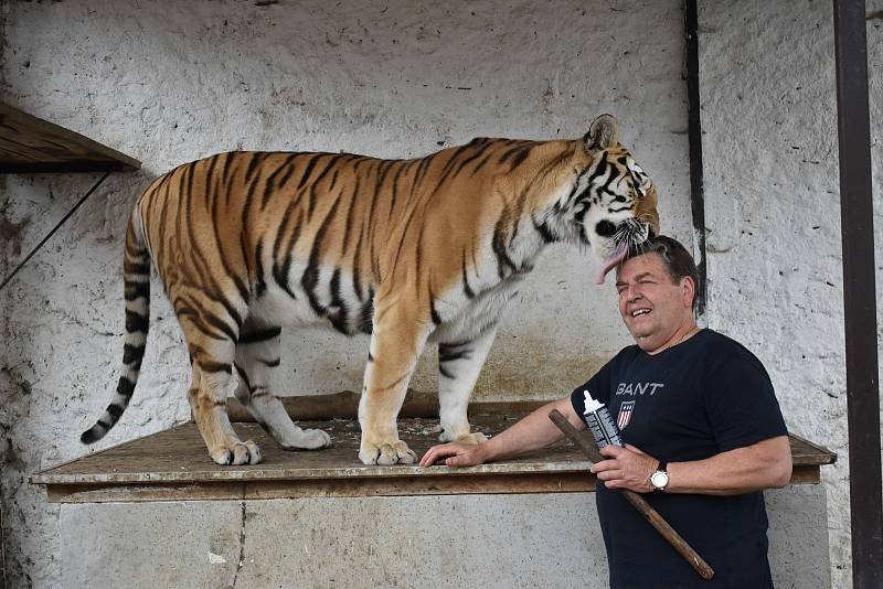 Chovatel šelem Miroslav Lenc se svými mazlíčky.