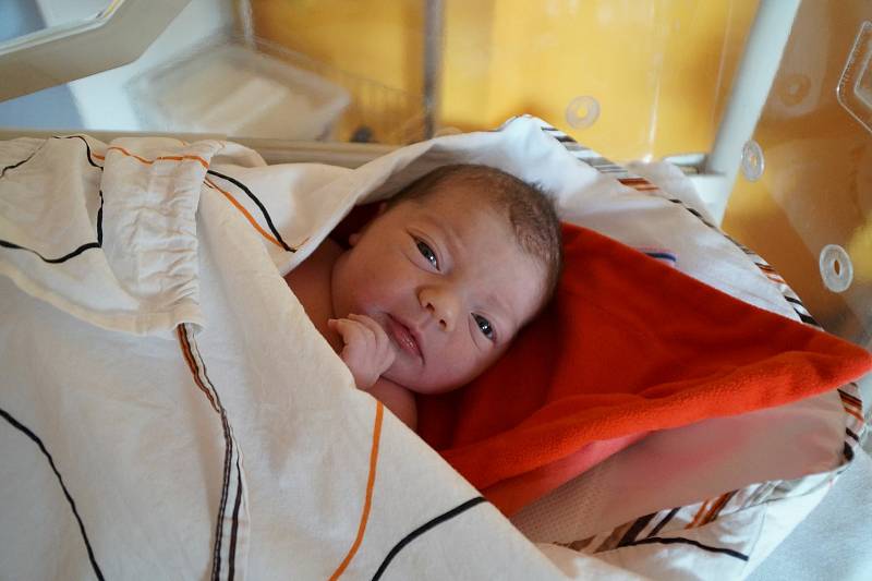 Karin Brtnová z Klatov (3390 g, 48 cm) se narodila v klatovské porodnici 22. září ve 14:12 hodin. Na svého sourozence se těšil bráška Martínek a rodiče Veronika a Lukáš.