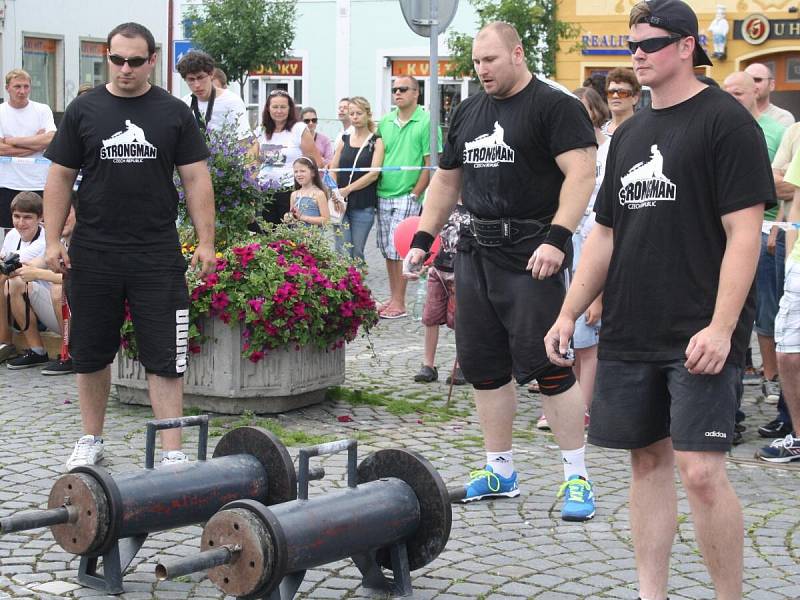 Strongman v Sušici 2014