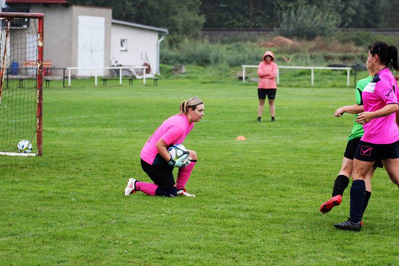 7. kolo letní DAFL: Sokolky Neznašovy - Kobra Stars Bolešiny (na snímku fotbalistky v růžových dresech) 0:4.