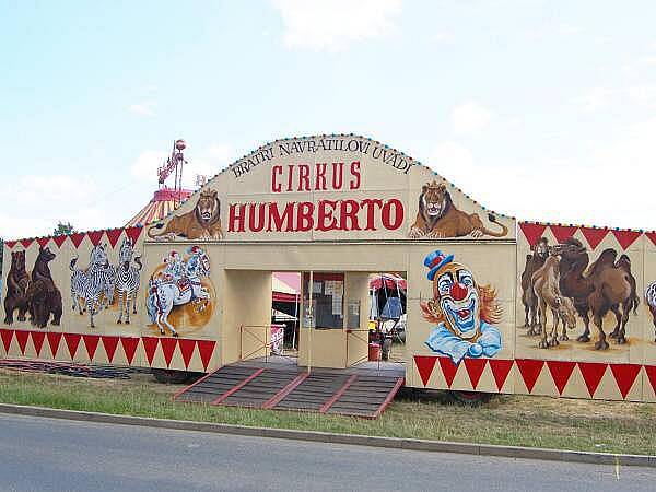 Redaktor Deníku si vyzkoušel krmení zvířat v Cirkuse Humberto