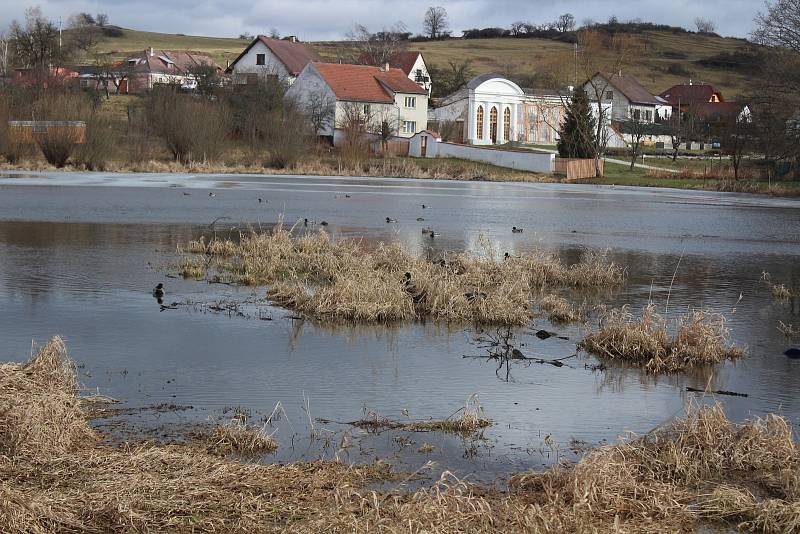 Rybník v Hrádku u Sušice.