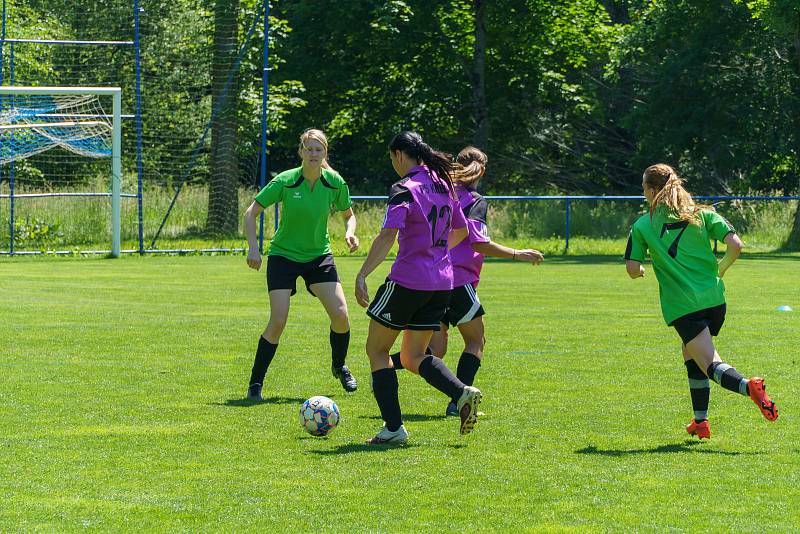 5. kolo DAFL, léto 2022: PS Křeč Mochtín (fialové dresy) - Sokolky Neznašovy 2:3.