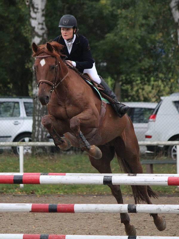 Jezdecké závody v Lubech - skoková soutěž Z.