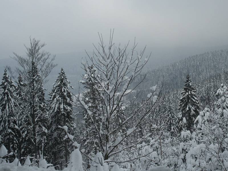 Zahájení lyžařské sezony na Šumavě. Ski areál Špičák 8. 12. 12