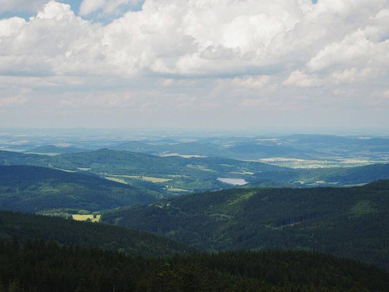 Rozhledna na Špičáku.