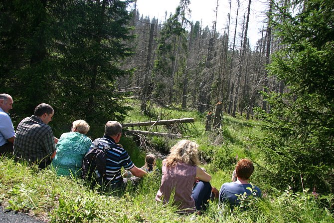 Turisté na Šumavě sledují tlející dřevo.