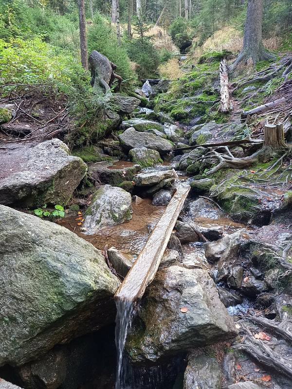 Šumava a Černé jezero.