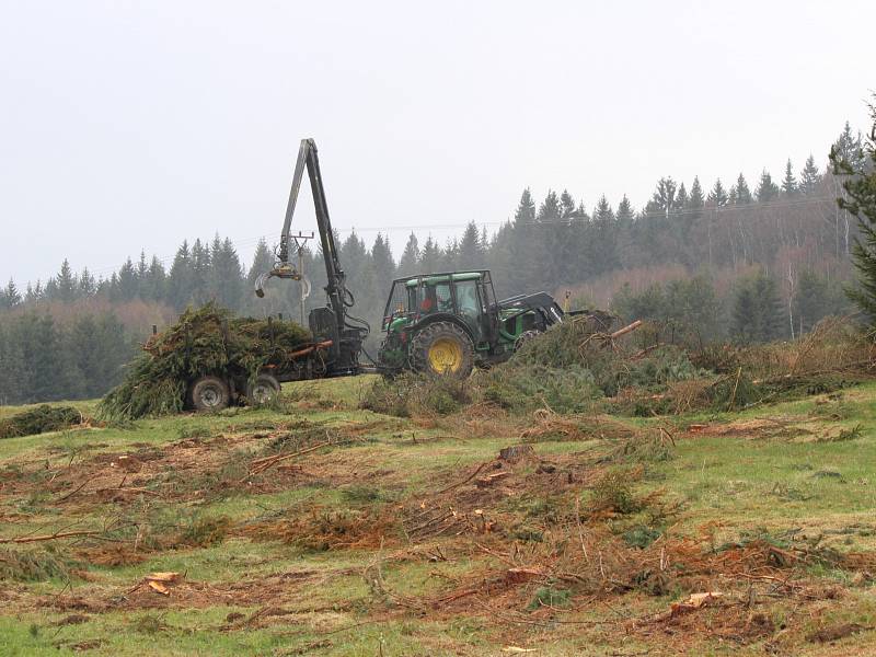 Kácení na loukách v Národním parku Šumava - Skelná