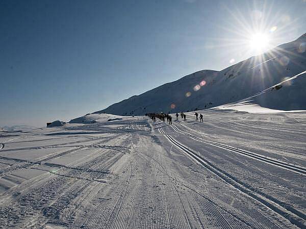 Klatovský lyžař Bohumil Němec na závodu Arctic Circle Race 2011 v Grónsku