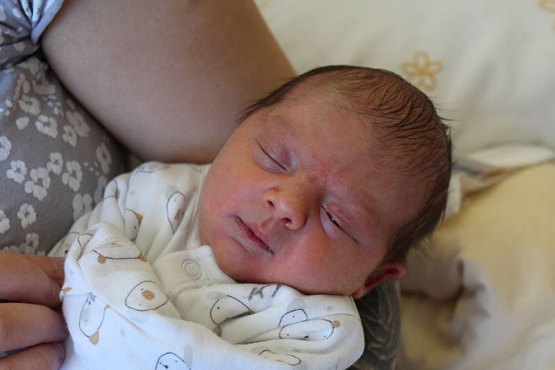 Viktorie Toráčová z Klatov přišla na svět v klatovské porodnici 30. května ve 3:45 hodin. Maminka Tereza a tatínek Filip věděli, že jejich prvorozeným miminkem (2430 g, 47 cm) bude holčička.