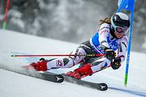 Čerstvá olympionička Tereza Nová z SC Černý na snímku v plné jízdě v obřím slalomu.