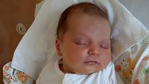 Nikol Jouzková z Radonic se narodila 9. září 2021 ve 21:04 hodin rodičům Petře a Jiřímu. Po příchodu na svět v domažlické porodnici vážila sestřička Karolínky (2,5) vážila 3640 gramů a měřila 49 centimetrů.