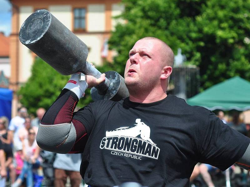 Strongman v Sušici 2014.