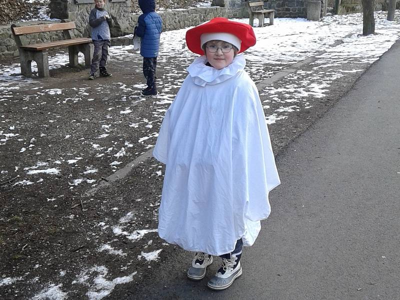 Družin ZŠ Sušice, Lerchova pořádala masopustní průvod.