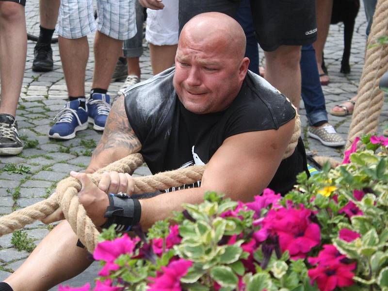 Strongman v Sušici 2014