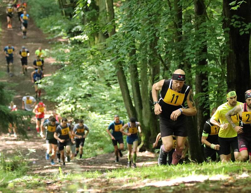 Petr Vaněček přepsal svůj nejlepší čas na půlmaratonské trati.