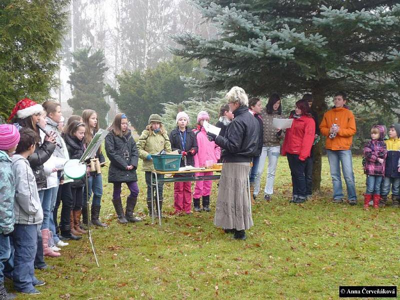 Zpívání u vánočního stromu u janovické školy