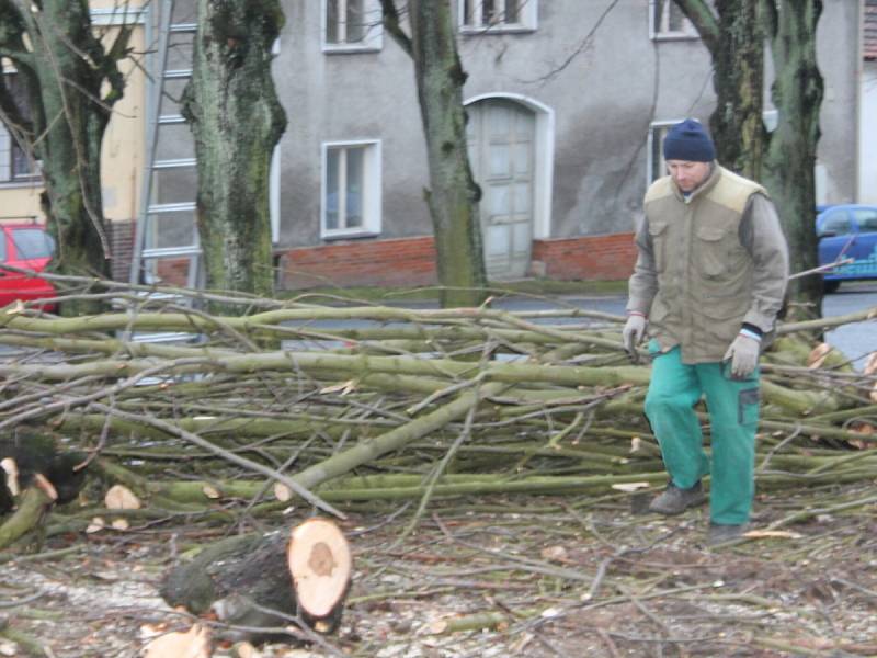 Město Plánice nechalo pokácet třicet stromů na náměstí, prý jsou nebezpečné