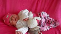 Anna K. přišla na svět v porodnici Domažlické nemocnice 19. ledna 2023 s mírami 3060 gramů a 51 centimetrů.