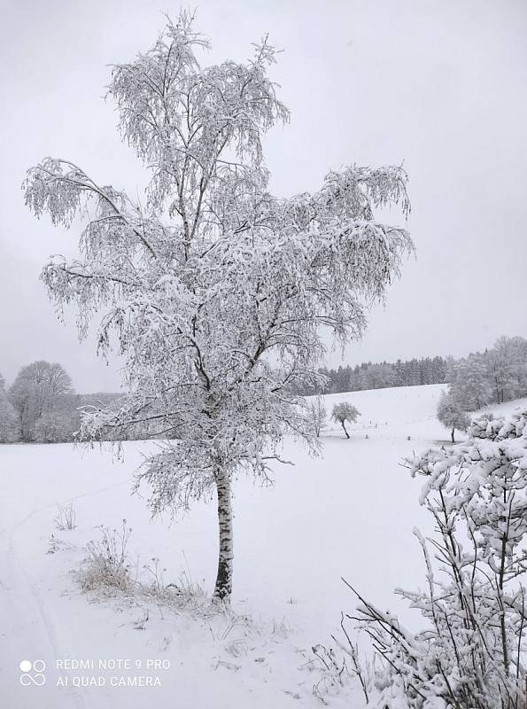 Klatovsko pod sněhem.