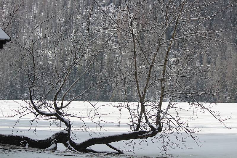 Šumava 27. února.