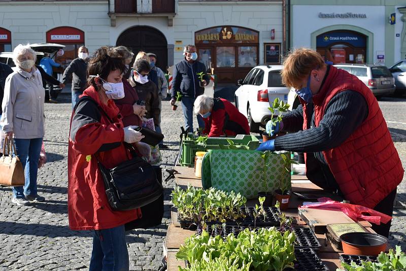 Farmářské trhy na klatovském náměstí lákaly, nakoupit si přišla řada zákazníků.