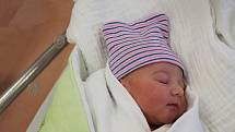 Tereza Perglová ze Spáňova se narodila v klatovské porodnici 3. února ve 2.00 hodin (2830 g, 50 cm). Pohlaví svého prvorozeného miminka znali rodiče Petra a Ondřej dopředu.