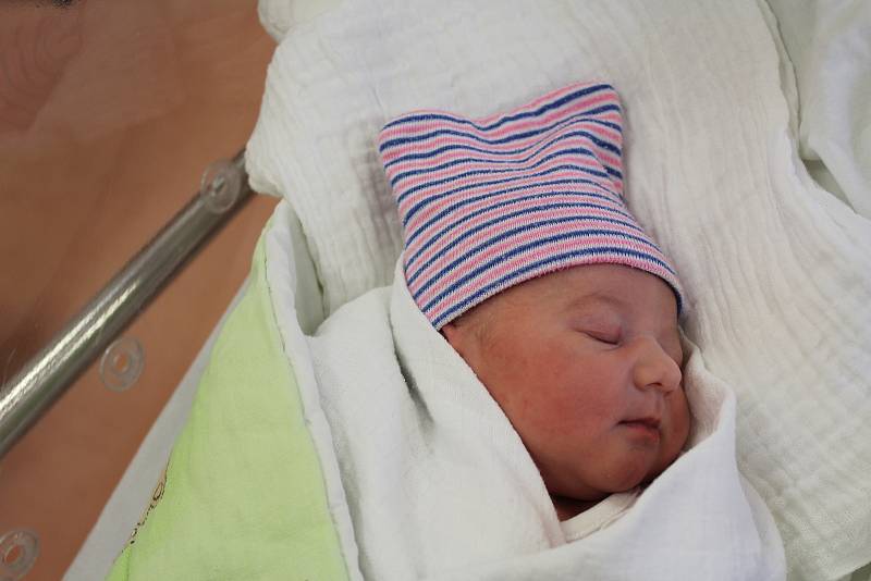 Tereza Perglová ze Spáňova se narodila v klatovské porodnici 3. února ve 2.00 hodin (2830 g, 50 cm). Pohlaví svého prvorozeného miminka znali rodiče Petra a Ondřej dopředu.