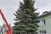 Vánoční strom pro Klatovy.