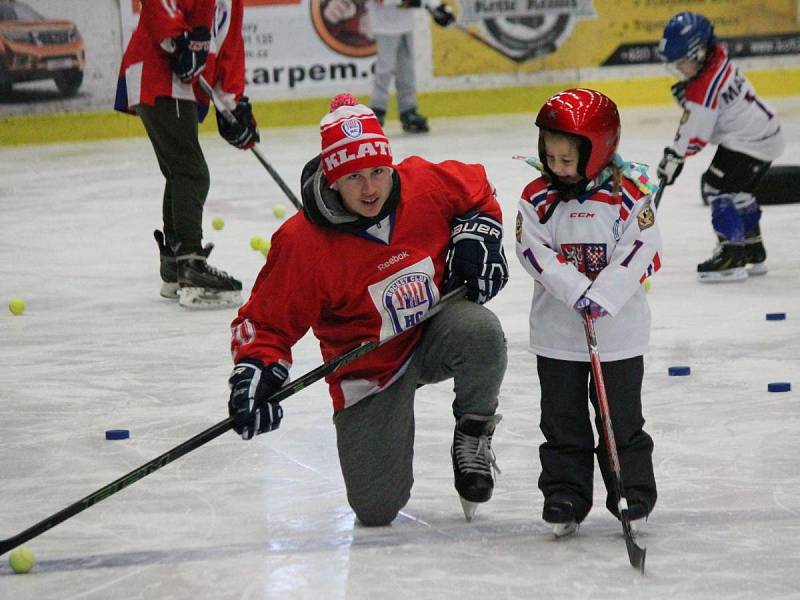 Akce týden hokeje v Klatovech 2017