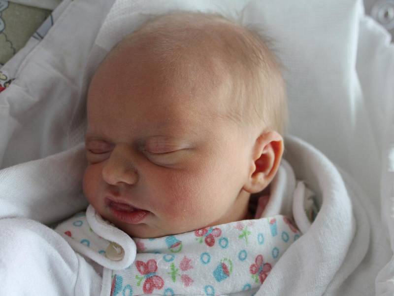 Adéla Kopcová z Klatov (2980 g, 47 cm) se narodila v klatovské porodnici 30. dubna v 10.27 hodin. Rodiče Sylva a Martin věděli dopředu, že jejich prvorozené miminko bude holčička. 