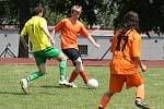 Vilyž team Klatovy (oranžoví)  - SK Norton Milence 3:7